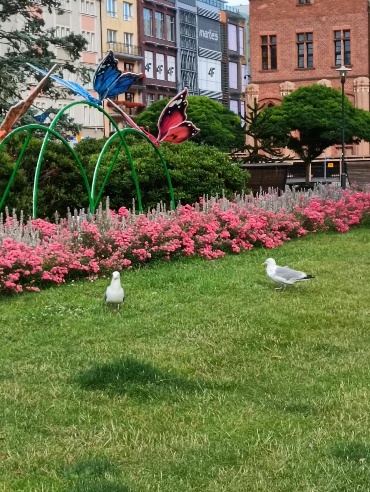 Apartament Ale Laba Kolobřeh Exteriér fotografie