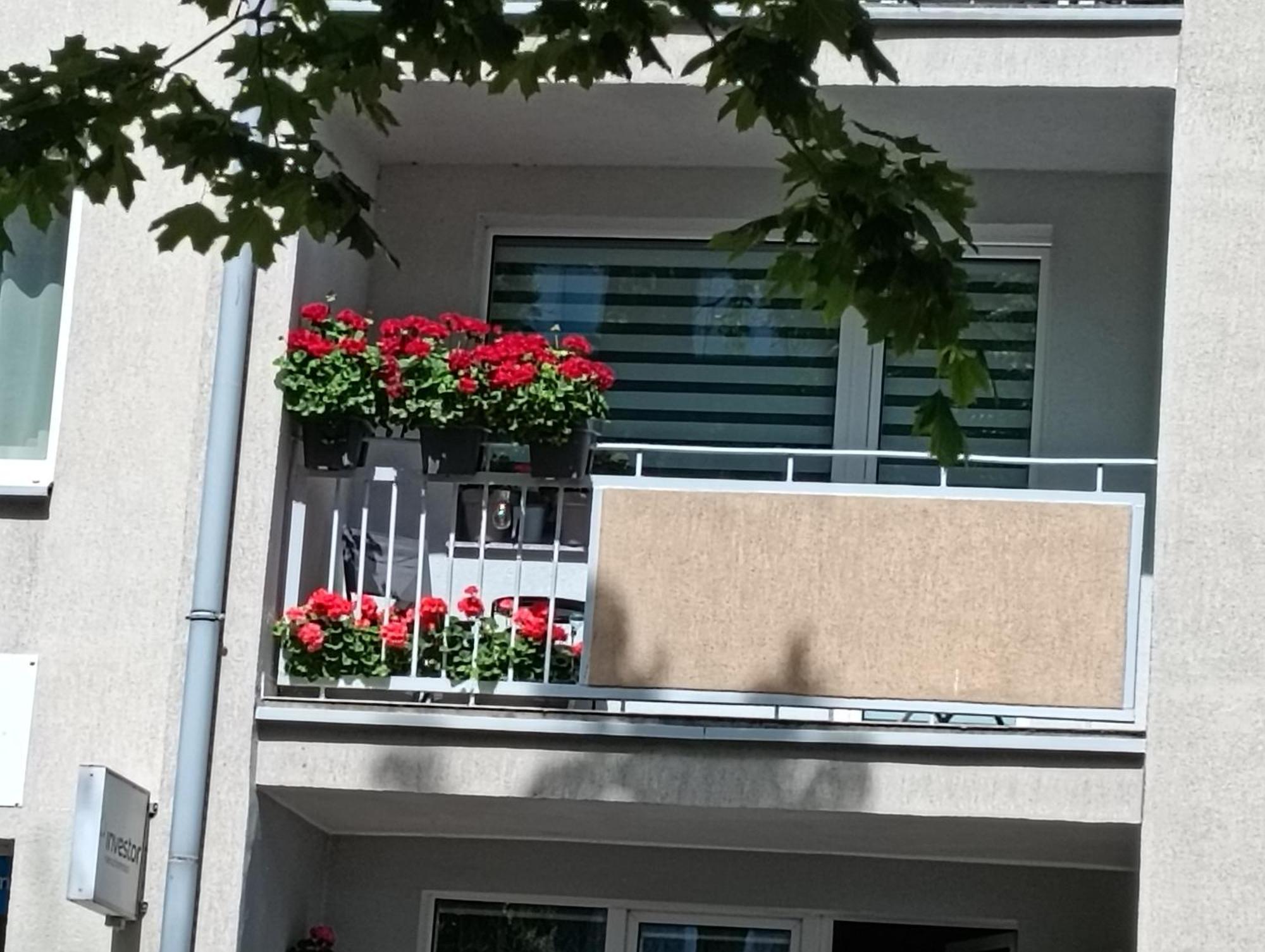 Apartament Ale Laba Kolobřeh Exteriér fotografie
