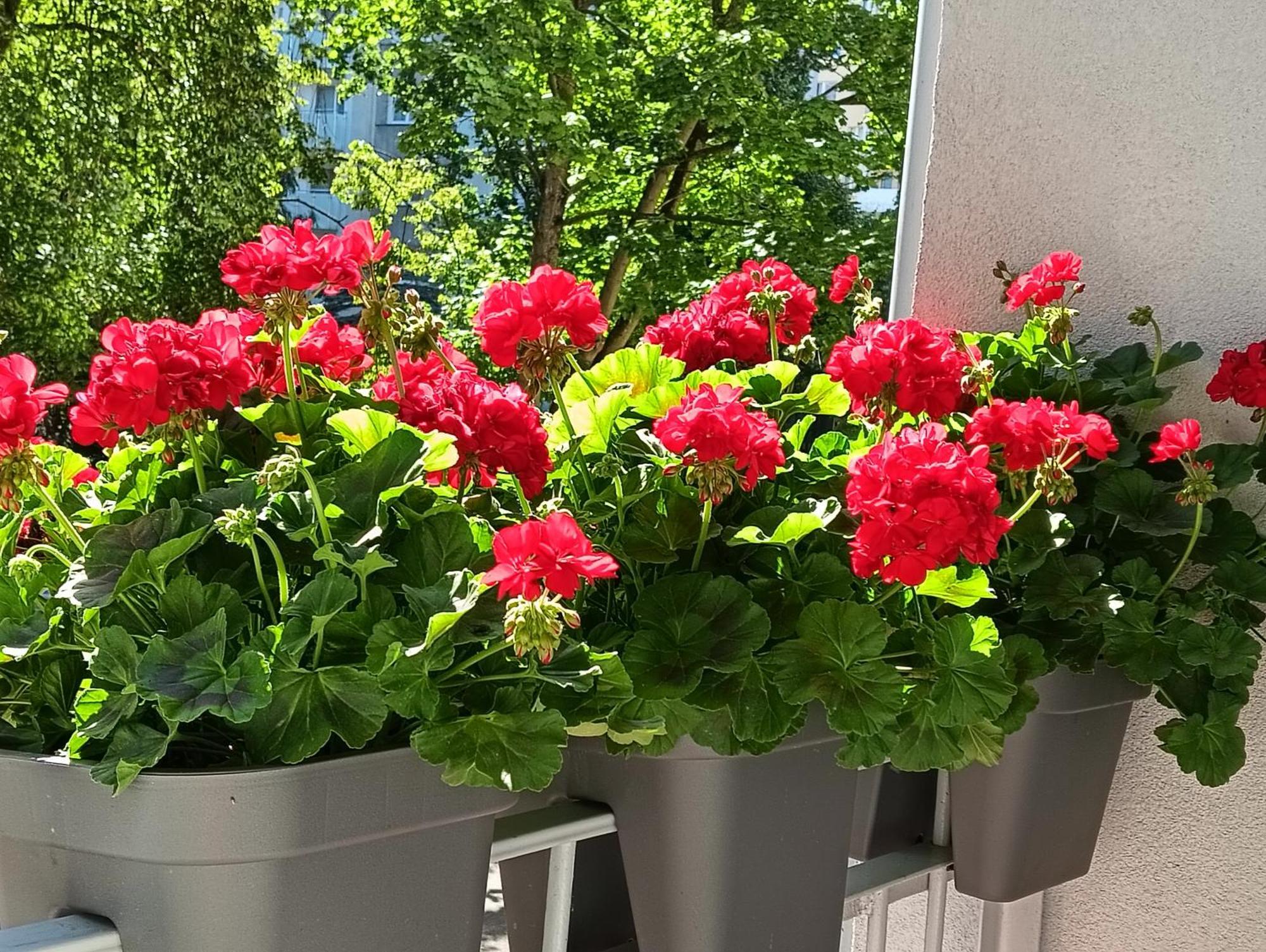 Apartament Ale Laba Kolobřeh Exteriér fotografie